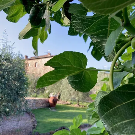 Romantik Hotel 4*