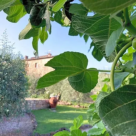 فندق Hotel Monteriggioni مونتيريجيوني